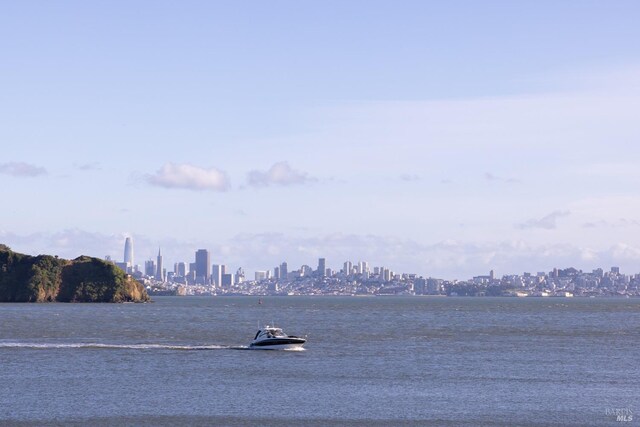 view of water feature featuring a city view