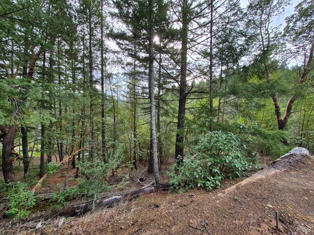 5376 Wild Iris Ln, Willits, CA 95490
