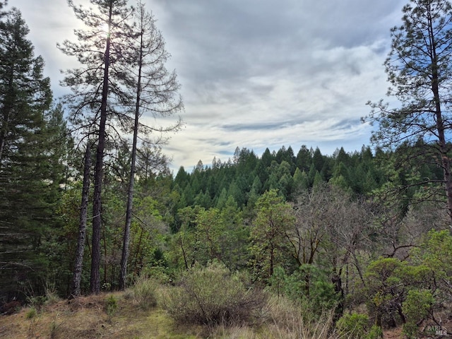 5376 Wild Iris Ln, Willits, CA 95490