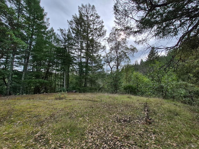 5376 Wild Iris Ln, Willits, CA 95490
