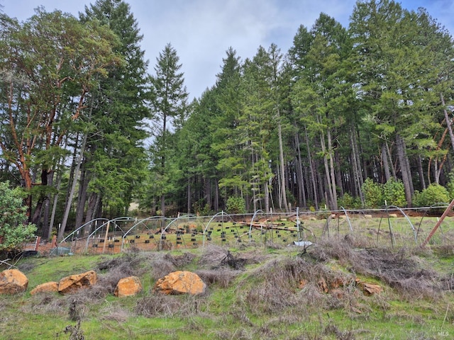 5376 Wild Iris Ln, Willits, CA 95490