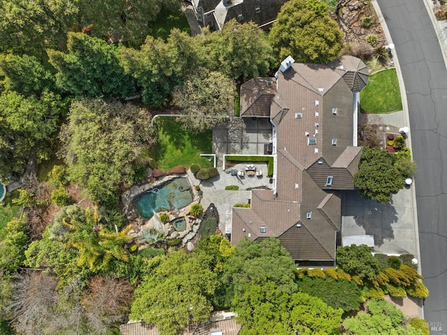 drone / aerial view