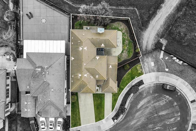 drone / aerial view