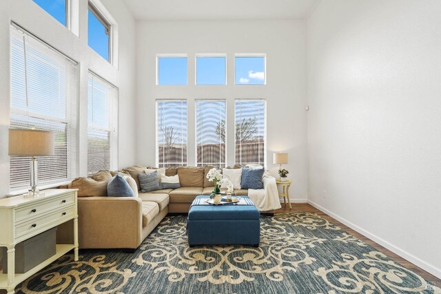living room featuring a towering ceiling, a healthy amount of sunlight, baseboards, and wood finished floors