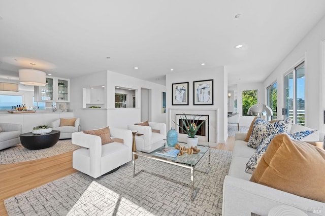 living area featuring recessed lighting and wood finished floors