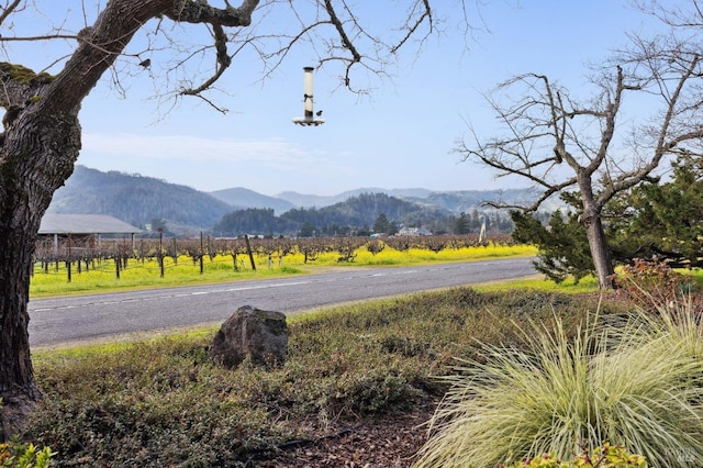 22 S Crane Ave, Saint Helena, CA 94574 - mountain view featuring a rural view