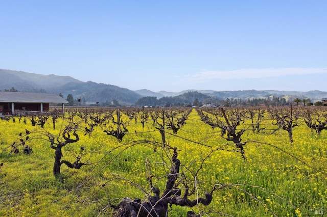 22 S Crane Ave, Saint Helena, CA 94574 - view of mountain feature with a rural view