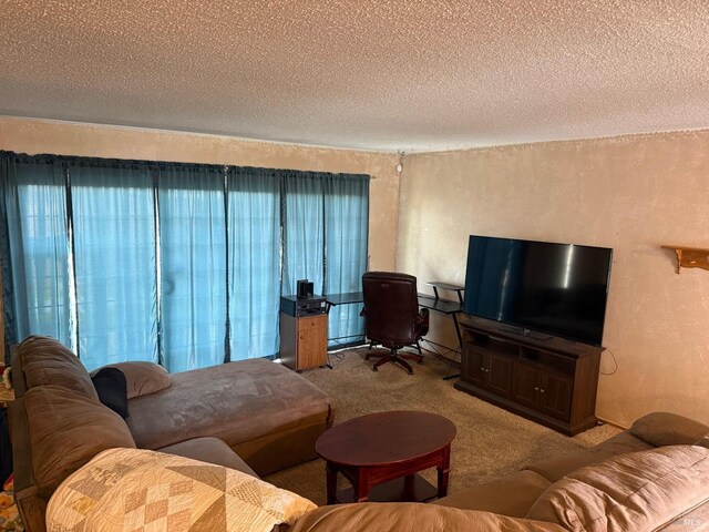 2024 San Luis St, Fairfield, CA 94533 - carpeted living room featuring a textured wall, a textured ceiling, and plenty of natural light