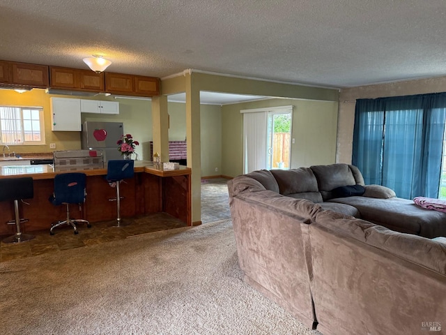 2024 San Luis St, Fairfield, CA 94533 - living area featuring light carpet, healthy amount of natural light, and a textured ceiling