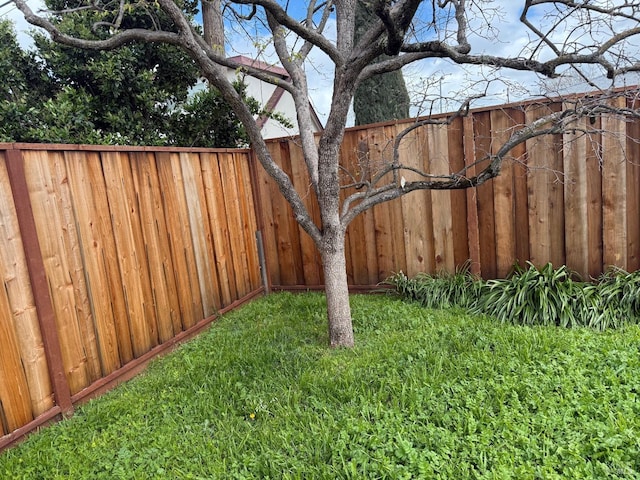 2024 San Luis St, Fairfield, CA 94533 - view of yard with fence
