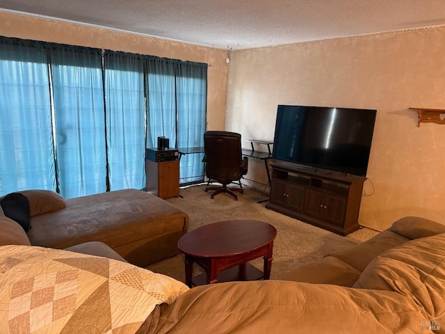 2024 San Luis St, Fairfield, CA 94533 - carpeted living room featuring a textured wall and a textured ceiling