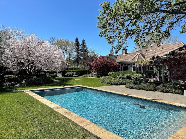 1706 Garnett Creek Ct, Calistoga, CA 94515 - swimming pool with a lawn
