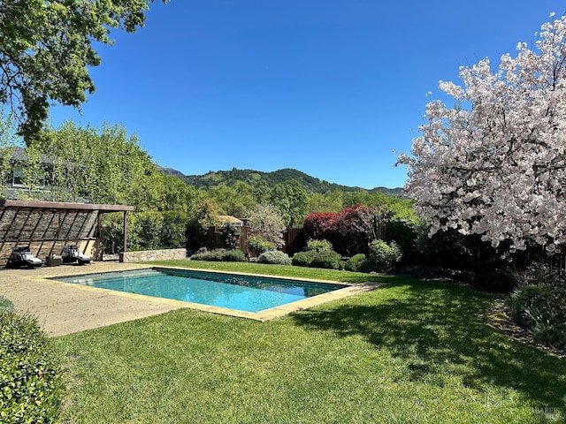1706 Garnett Creek Ct, Calistoga, CA 94515 - swimming pool featuring a yard and a mountain view