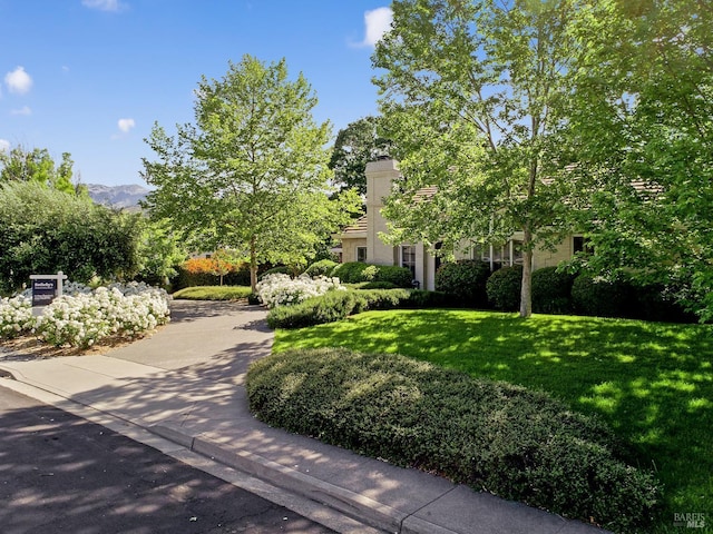 1706 Garnett Creek Ct, Calistoga, CA 94515 - view of property's community with a lawn