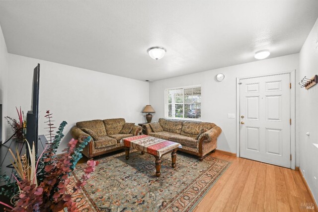 living area featuring light wood-style floors