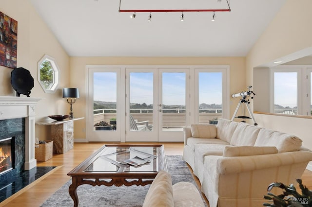 living room featuring wood finished floors, a fireplace, and lofted ceiling