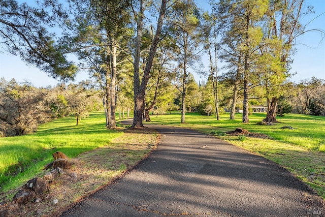 3651 Bones Rd, Sebastopol, CA 95472 - surrounding community featuring a yard and driveway