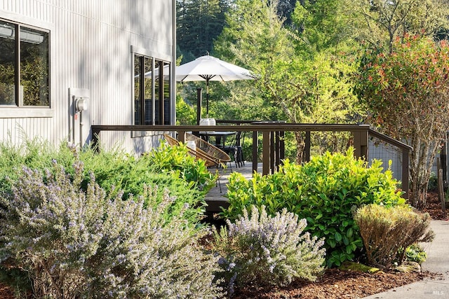 3651 Bones Rd, Sebastopol, CA 95472 - view of wooden terrace