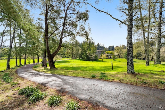3651 Bones Rd, Sebastopol, CA 95472 - view of home's community with a yard and view of scattered trees
