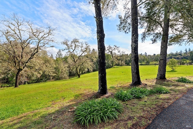 3651 Bones Rd, Sebastopol, CA 95472 - view of green lawn