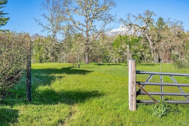 3651 Bones Rd, Sebastopol, CA 95472 - view of grassy yard