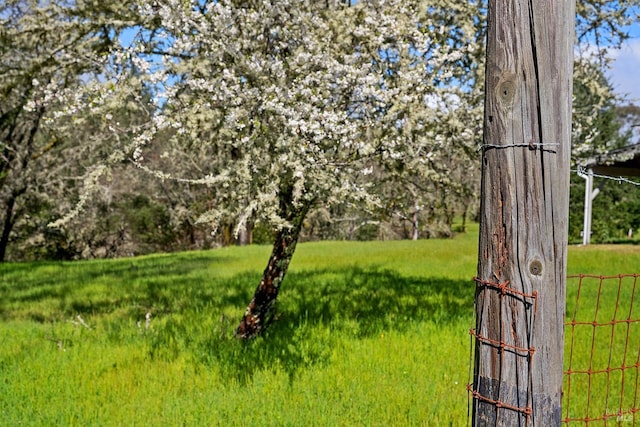 3651 Bones Rd, Sebastopol, CA 95472 - view of grassy yard