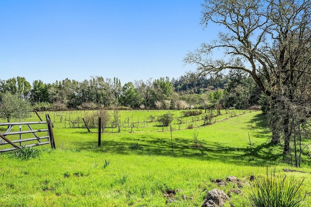 3651 Bones Rd, Sebastopol, CA 95472 - view of yard with fence and a view of countryside