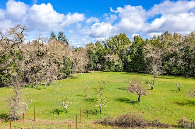 3651 Bones Rd, Sebastopol, CA 95472 - view of green lawn