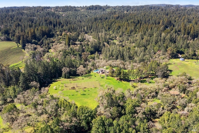 3651 Bones Rd, Sebastopol, CA 95472 - view of property location featuring a forest