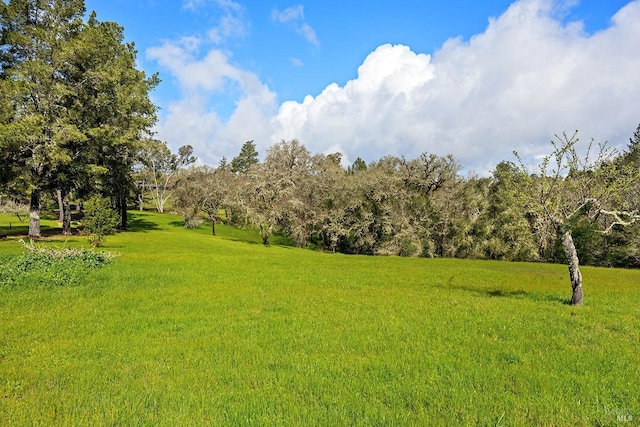 3651 Bones Rd, Sebastopol, CA 95472 - view of green lawn