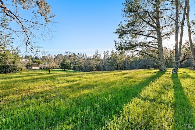 3651 Bones Rd, Sebastopol, CA 95472 - view of yard