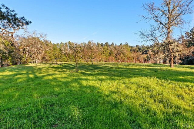 3651 Bones Rd, Sebastopol, CA 95472 - view of grassy yard with a view of trees