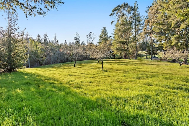 3651 Bones Rd, Sebastopol, CA 95472 - view of grassy yard