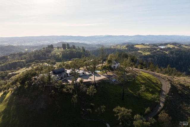aerial view with a mountain view and a view of trees