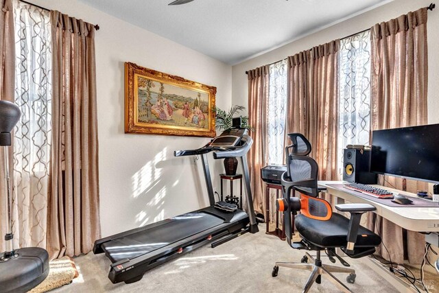 view of carpeted home office