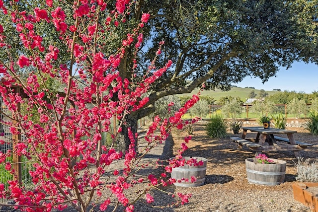 view of yard with a rural view