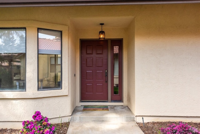 43 Fountain Grove Cir, Napa, CA 94558 - doorway to property featuring stucco siding