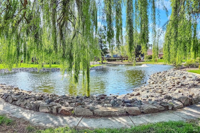 property view of water