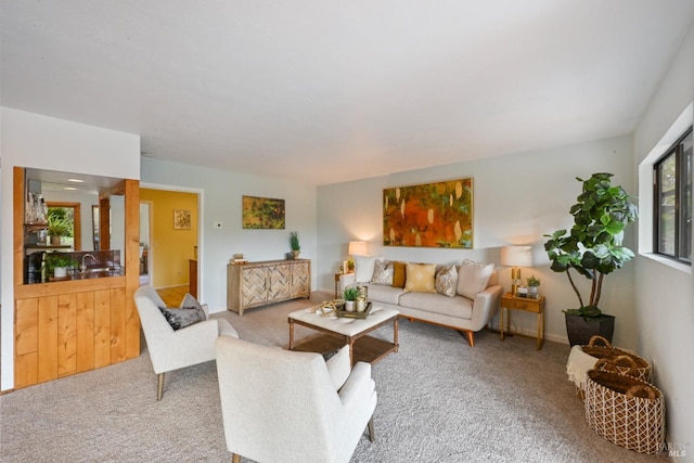 living room featuring carpet flooring