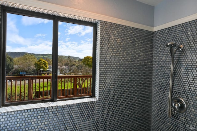 view of bathroom