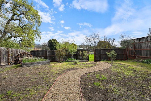 view of yard with a fenced backyard