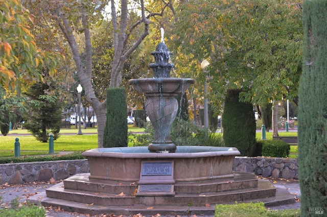 view of community