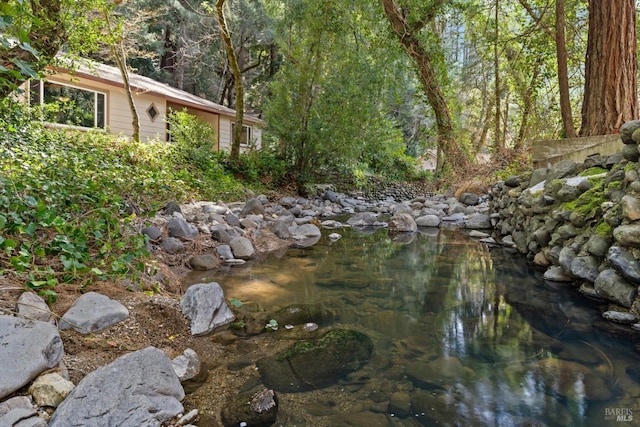 view of yard featuring a forest view