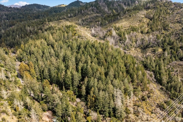 view of mountain feature with a forest view