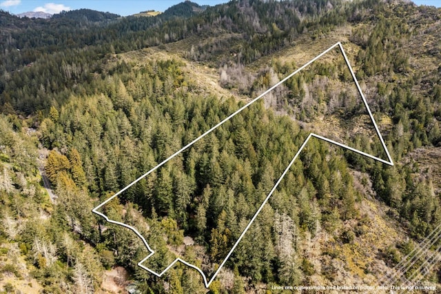 birds eye view of property with a mountain view and a forest view