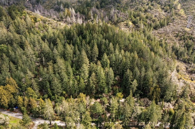 bird's eye view featuring a forest view