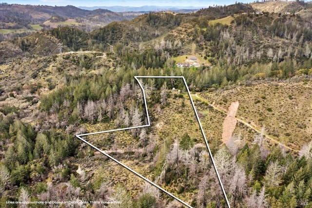aerial view with a view of trees and a mountain view