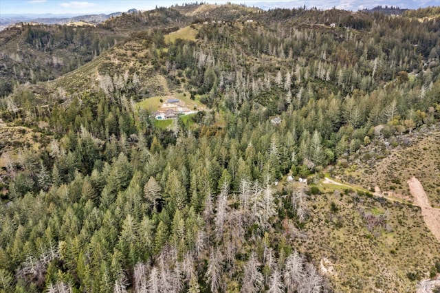 birds eye view of property featuring a mountain view and a forest view