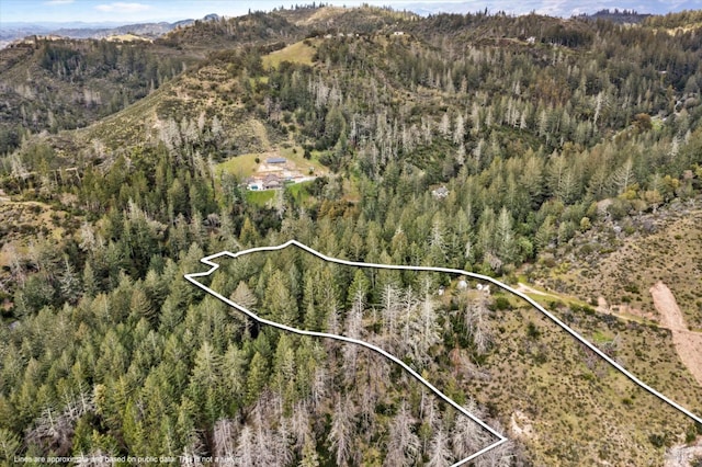 aerial view with a forest view