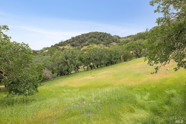 view of nature featuring a mountain view